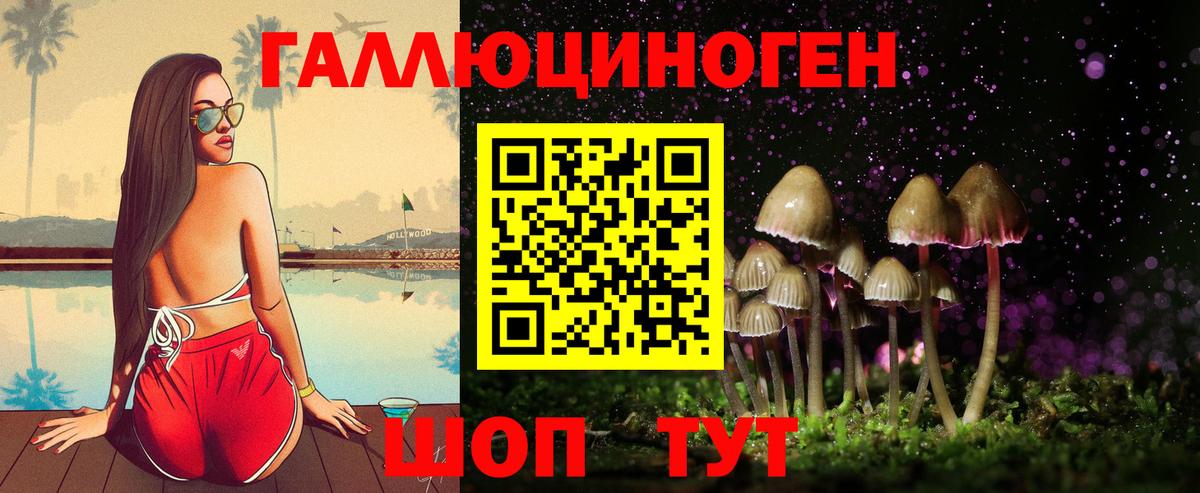 Беслан  Галлюциногенные грибы прущие грибы  Вход с VPN 